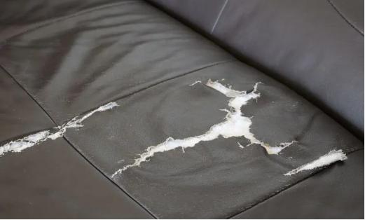 Damages of Your Leather Sofa