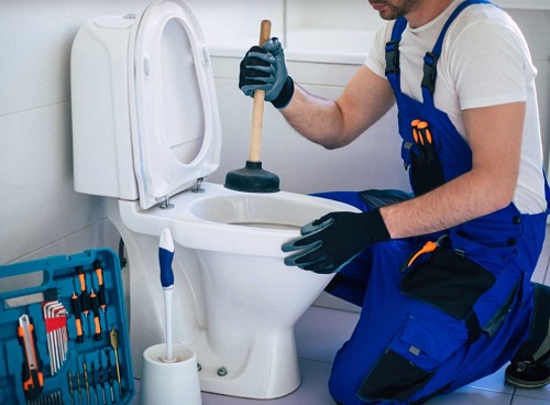 Fix Clogged Toilet B