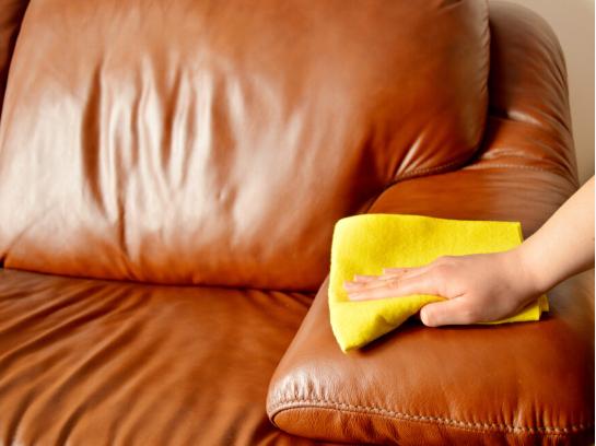 Maintaining Your Leather Sofa