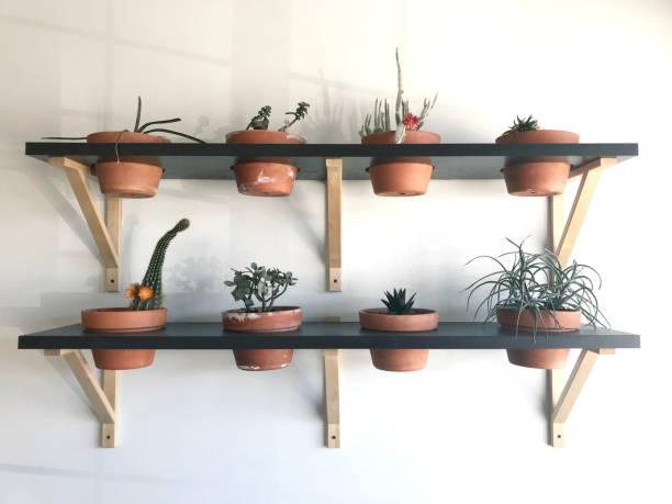 Modern Suspended Shelves